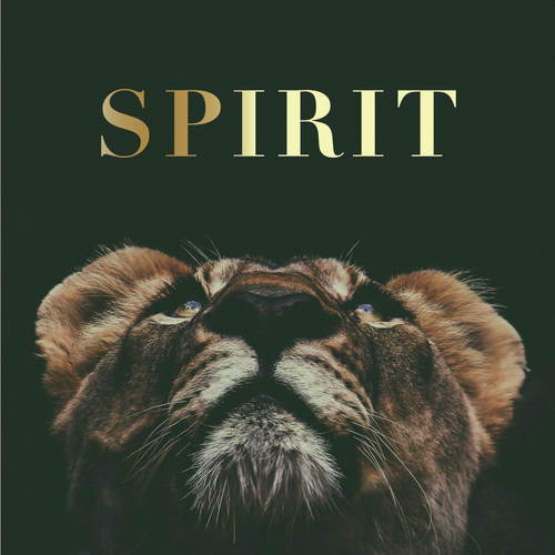 SPIRIT