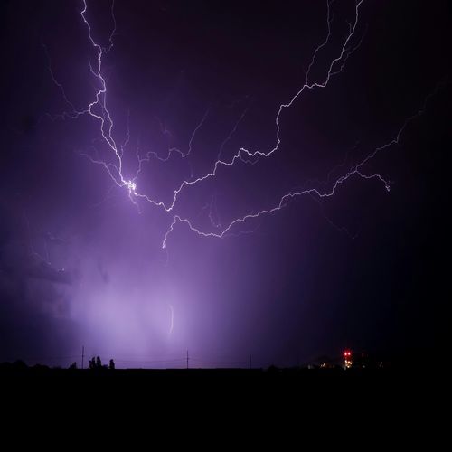 The Low cover art