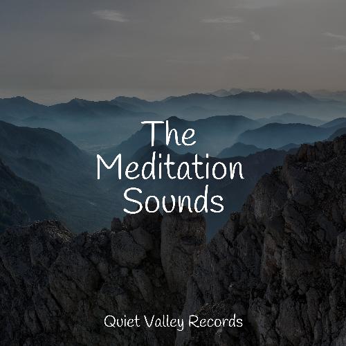 The Meditation Sounds