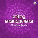 Painguvalai