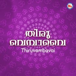 Munnai pazham by Vidhya