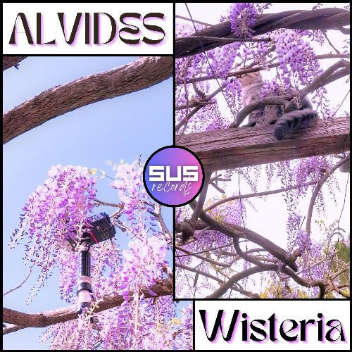 Wisteria