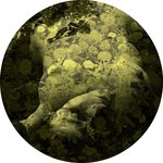 Yellobone