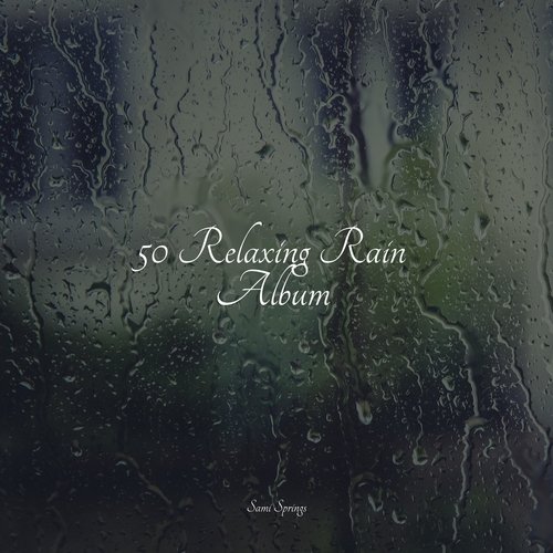 50 Relaxing Rain Album