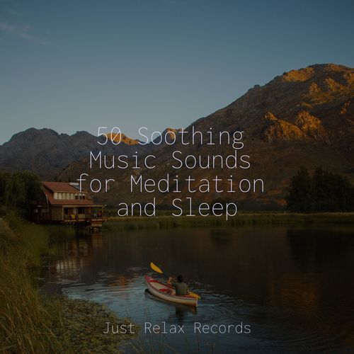 50 Soothing Music Sounds for Meditation and Sleep