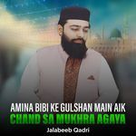 Amina Bibi Ke Gulshan Main Aik Chand Sa Mukhra Agaya