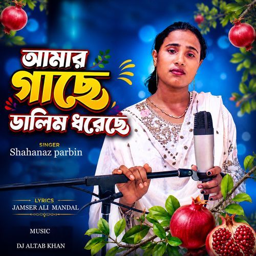 আমার গাছে ডালিম ধরেছে