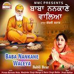 Baba Nankane Waleya