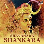 Bhavahara Shankara