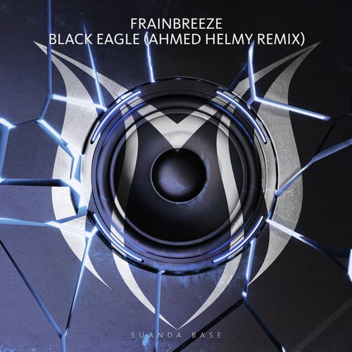 Black Eagle (Ahmed Helmy Remix)_poster_image