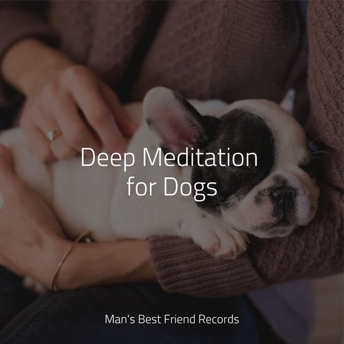 Deep Meditation for Dogs