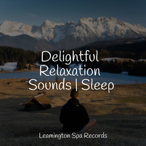 Meditating Music cover art