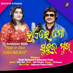 HAY RE MOR SURUJMUKHI-PwtGQxl2cEY