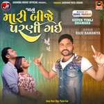 Chakda Vala Taro Chakdo-Janu Mari Bije Parni Gai