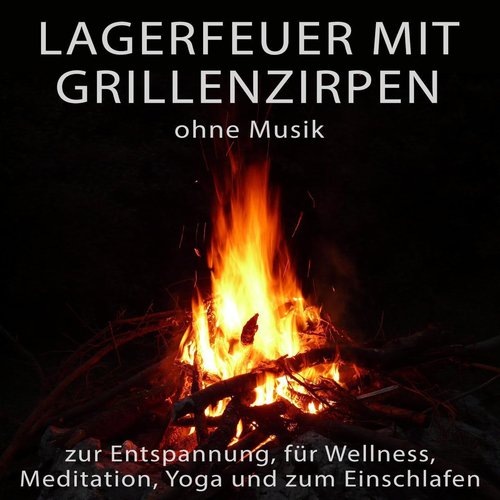 Lagerfeuer mit Grillenzirpen ohne Musik zur Entspannung, für Wellness, Meditation, Yoga und zum Eins_poster_image