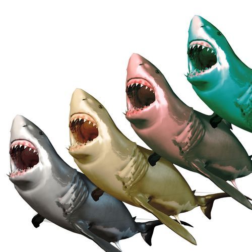 MAKO cover art