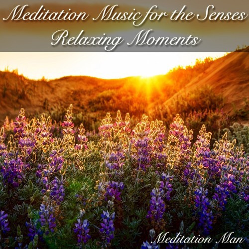 Still Within cover art