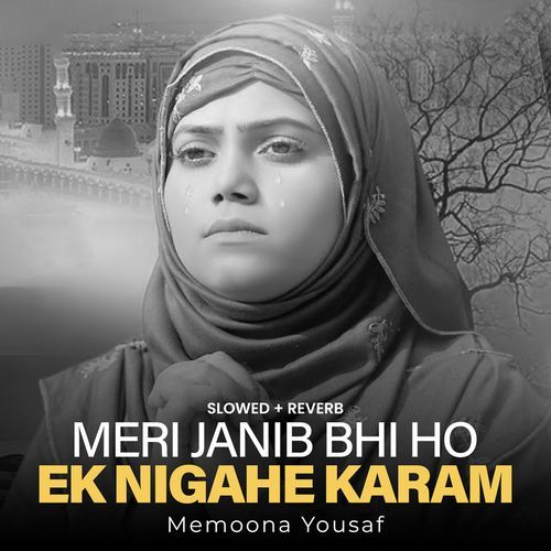 Meri Janib Bhi Ho Ek Nigahe Karam (Lofi-Mix)