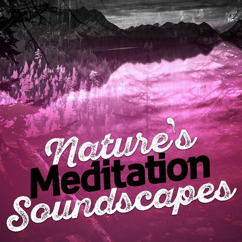 Water Source cover art