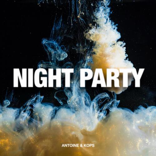 Night Party_poster_image