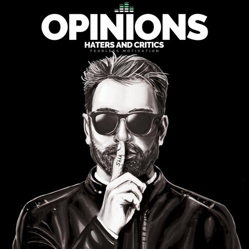 Opinions: Haters and Critics_poster_image