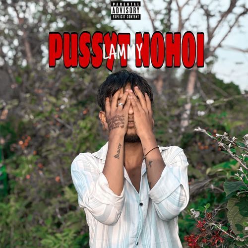 PUSSYT NOHOI