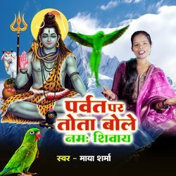 Parvat Par Tota Bole Namah Shivay