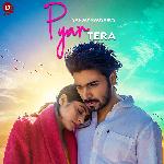 Pyar Tera