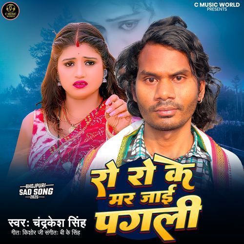 Ro Ro Ke Mar Jaee Pagli