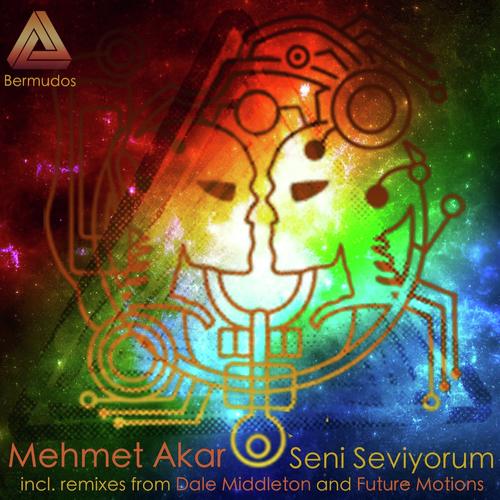 Seni Seviyorum (Future Motions Distorted Love Remix)