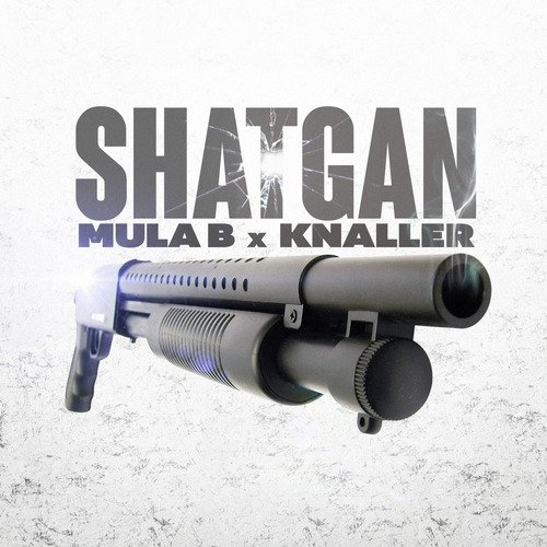 Shatgan_poster_image