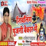 Shivling Pujani Bekar Me (Bhojpuri)