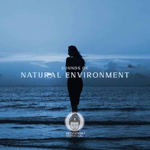 Delightful Exotic Birds Sounds cover art