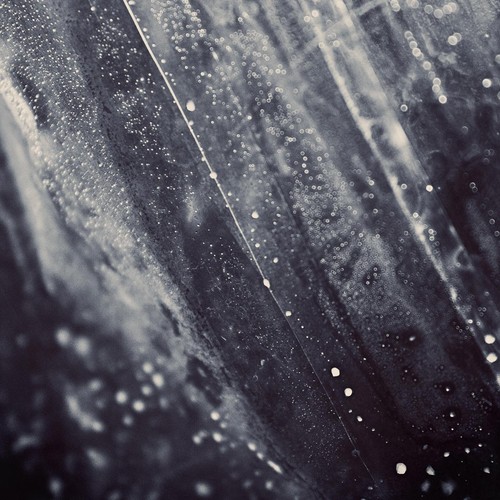 Embers in Snow cover art