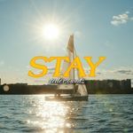 Stay artwork