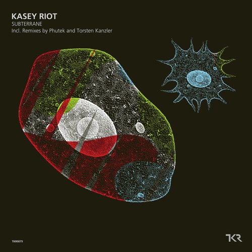 Subterrane (Torsten Kanzler Remix) cover art