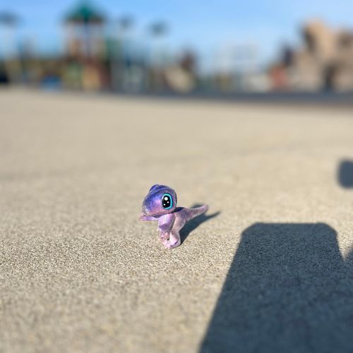 Invicible Principles