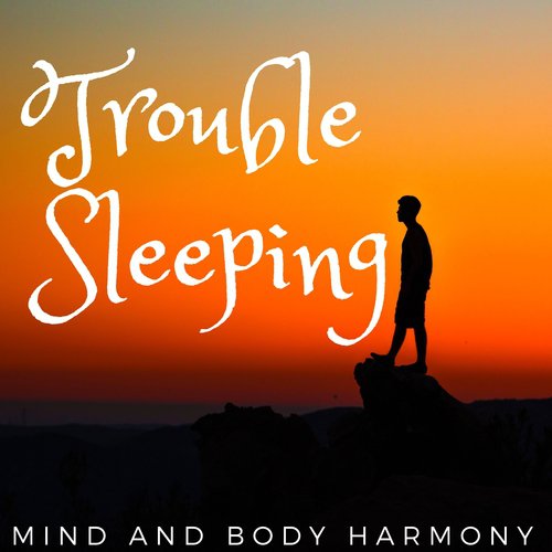 Body Mind Connection cover art