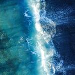 Ultimate Ocean Waves for Pets - Noise, Sounds, Relax