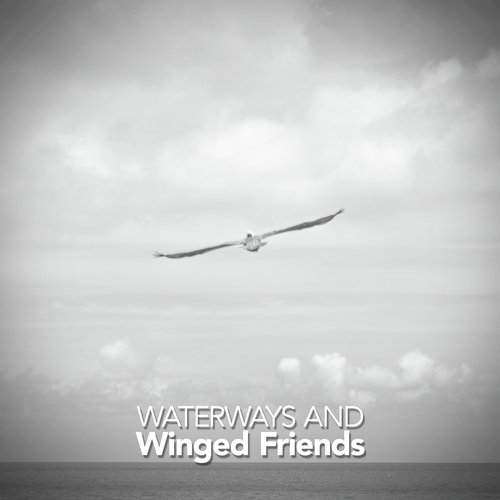 Waterways and Winged Friends