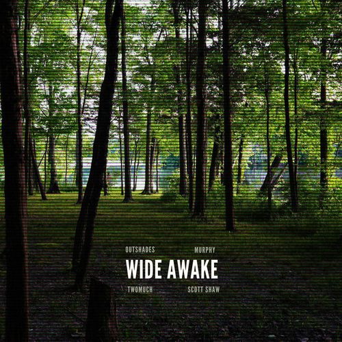 Wide Awake_poster_image