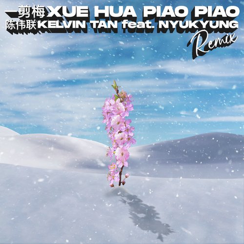 Yi Jian Mei Xue Hua Piao Piao (Remix)