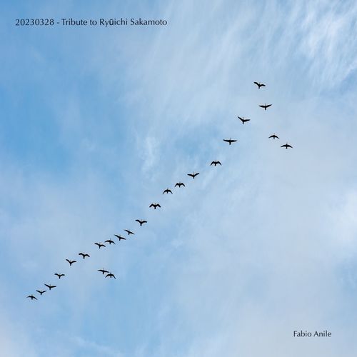 20230328 - Tribute to Ryūichi Sakamoto cover art