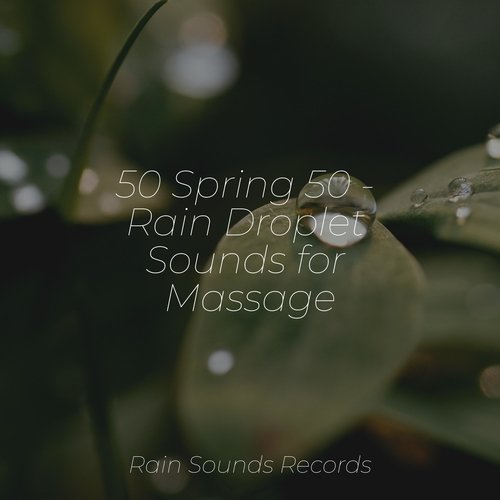 50 Spring 50 - Rain Droplet Sounds for Massage_poster_image