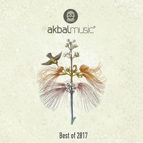 Refuge of Dream cover art