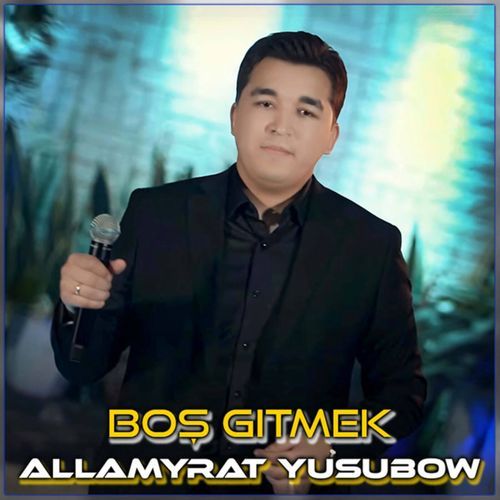 Boş Gitmek cover art