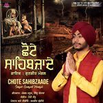 Chote Sahibzaade