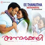 Ee Thanutha (Instrumental)