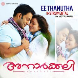 Ee Thanutha (Instrumental)
