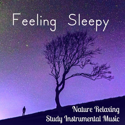 Sleeping Music to Relax